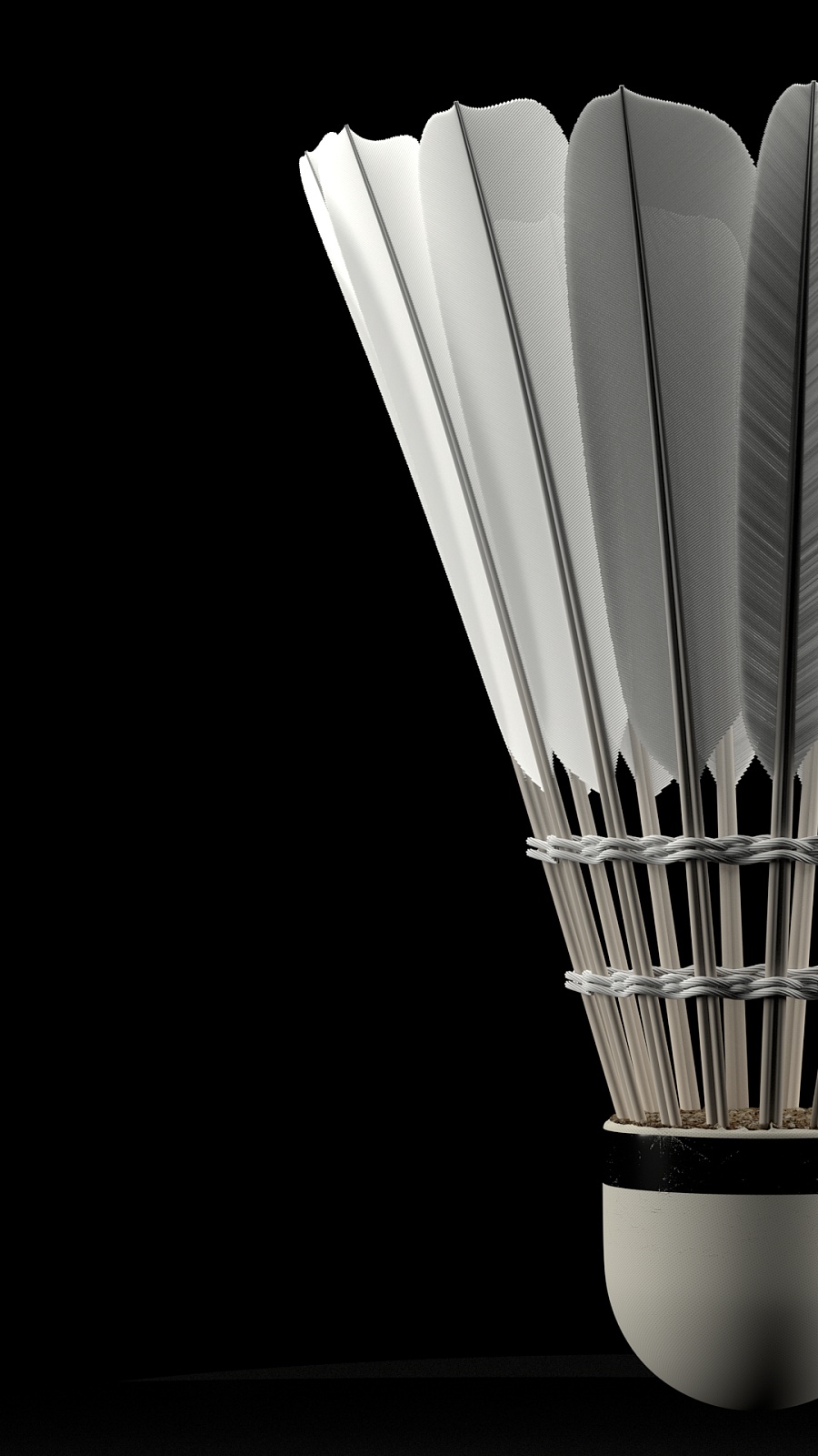 奋斗的球员 奋斗的球员