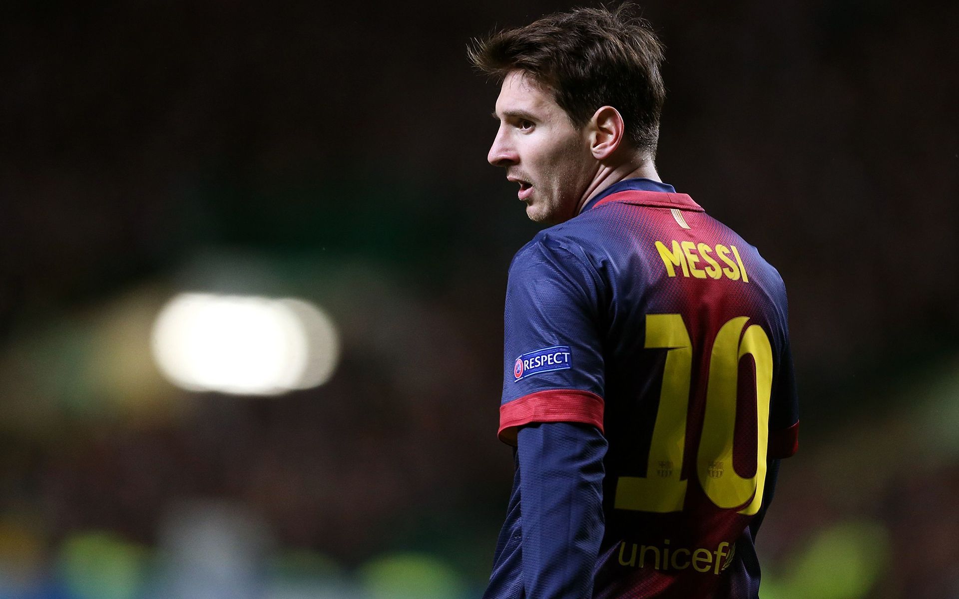 的职业生涯 的职业生涯