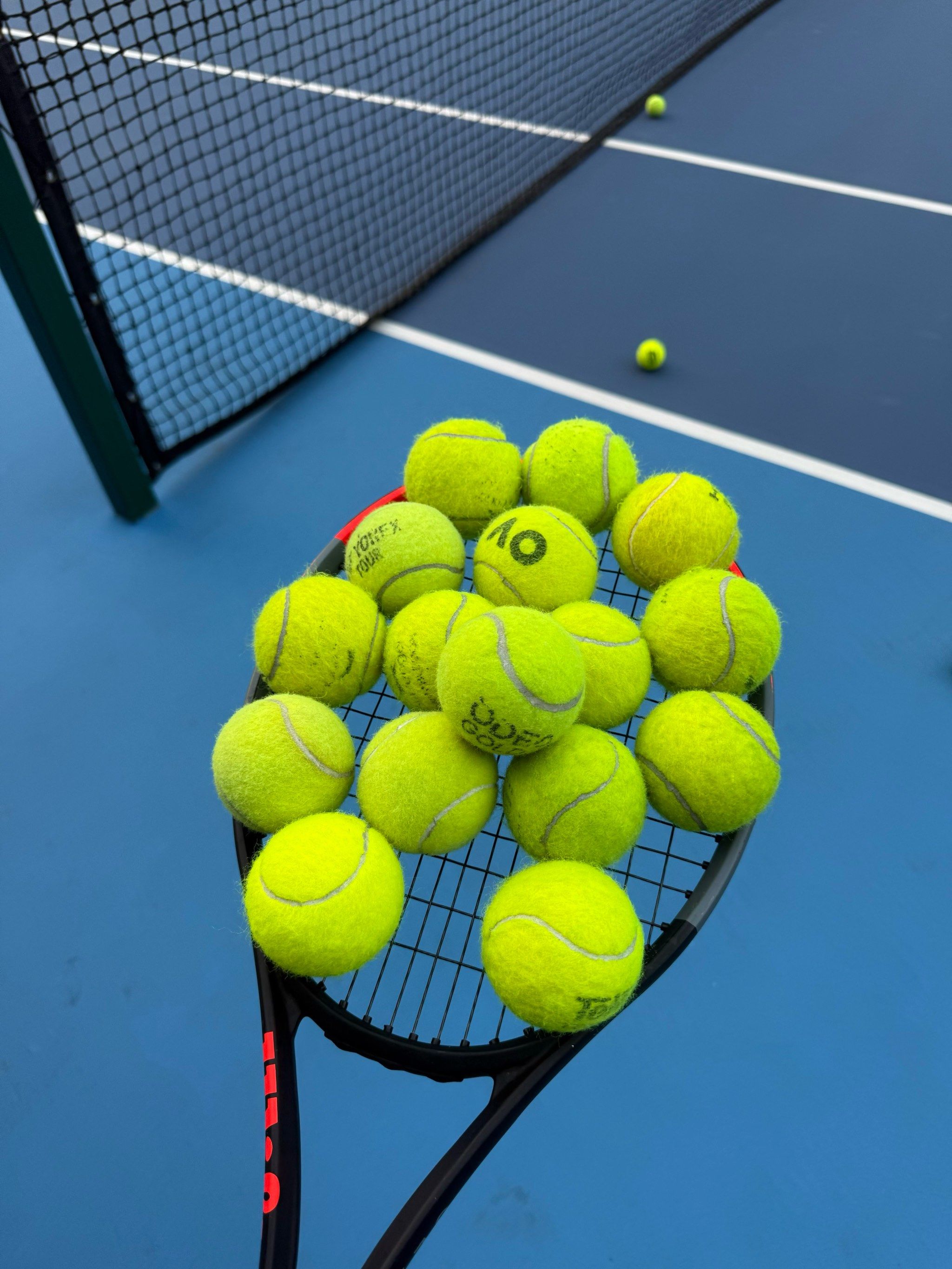 来了惊喜和 来了惊喜和