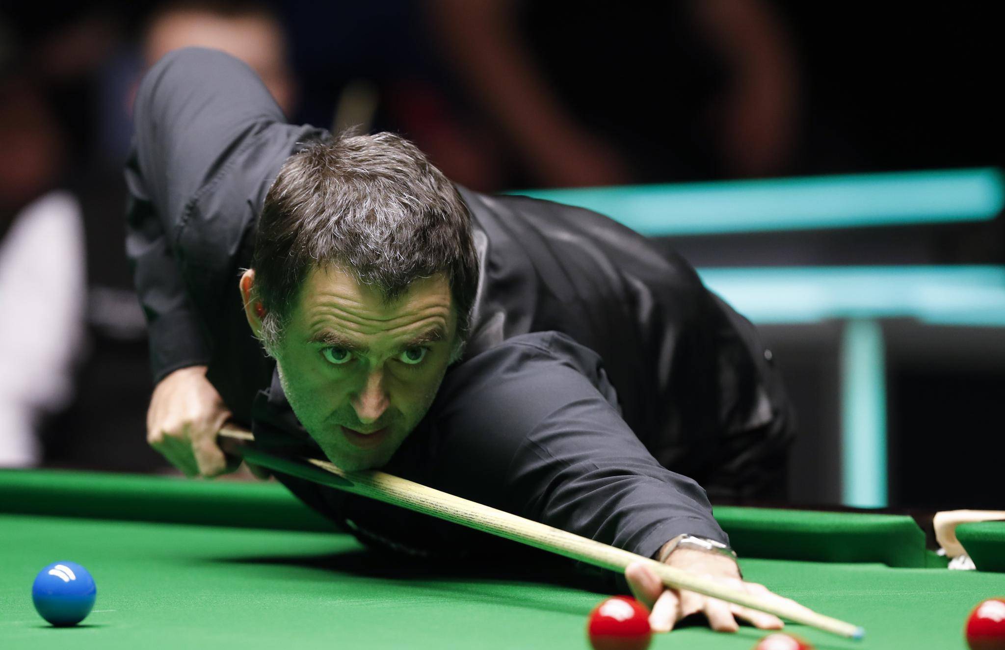 培养了坚韧 培养了坚韧